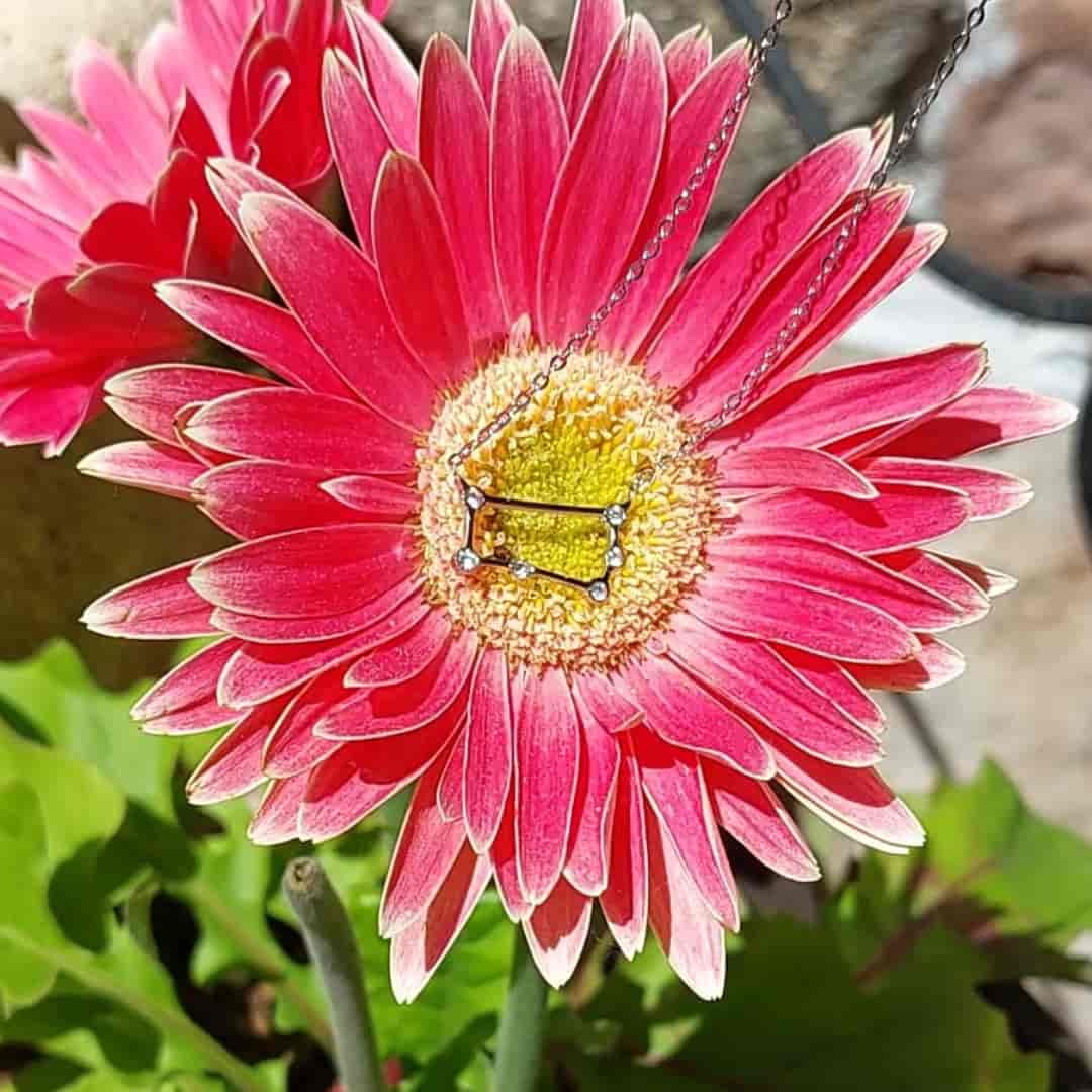 Collar Zodiaco - Constelación Dorado y Plateado - GÉMINIS