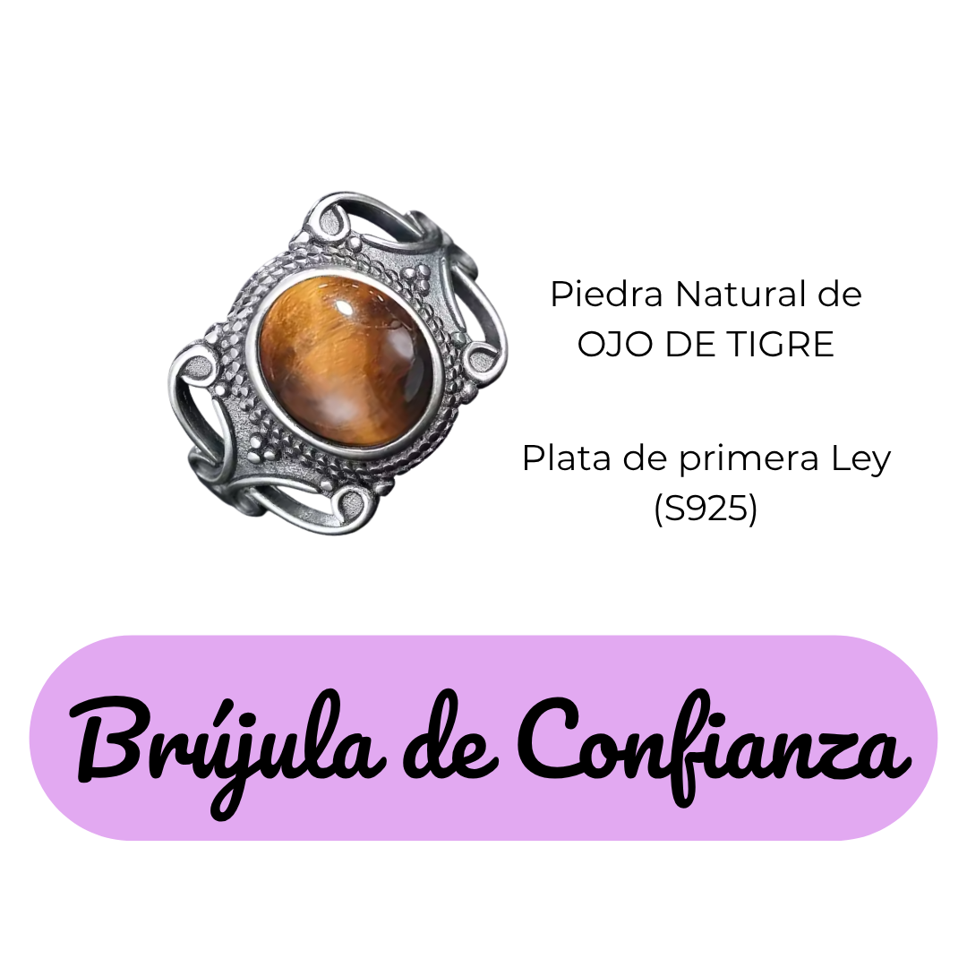 Anillo Ojo de Tigre Oval - Brújula de Confianza - Plata de Ley