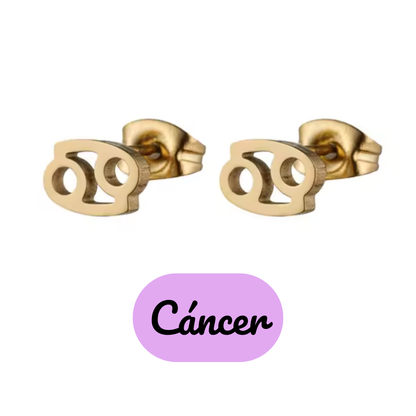Pendientes Pequeños con Símbolo del Zodiaco de Acero Inoxidable