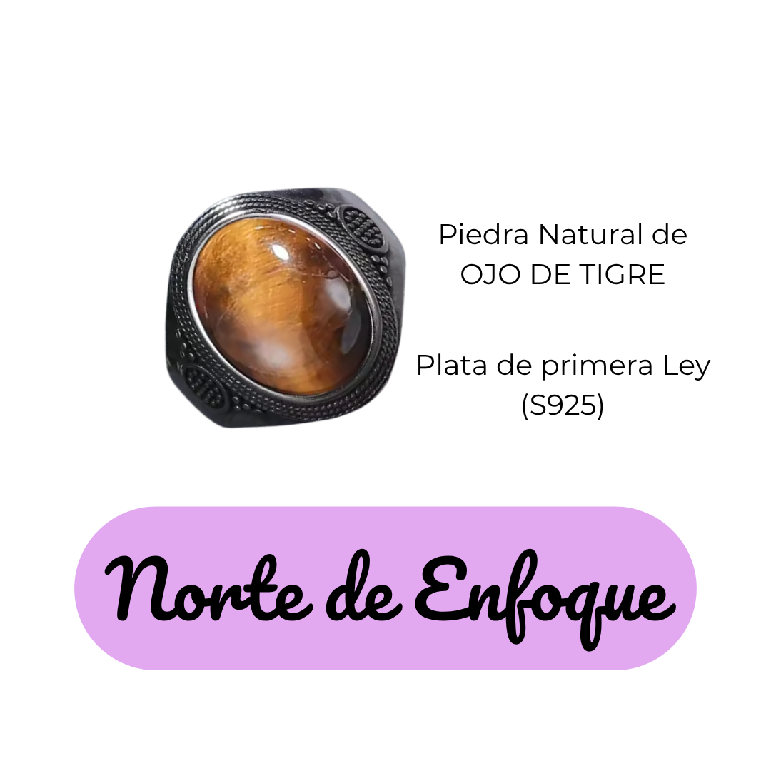 Anillo Ojo de Tigre Oval - Norte de Enfoque - Plata de Ley