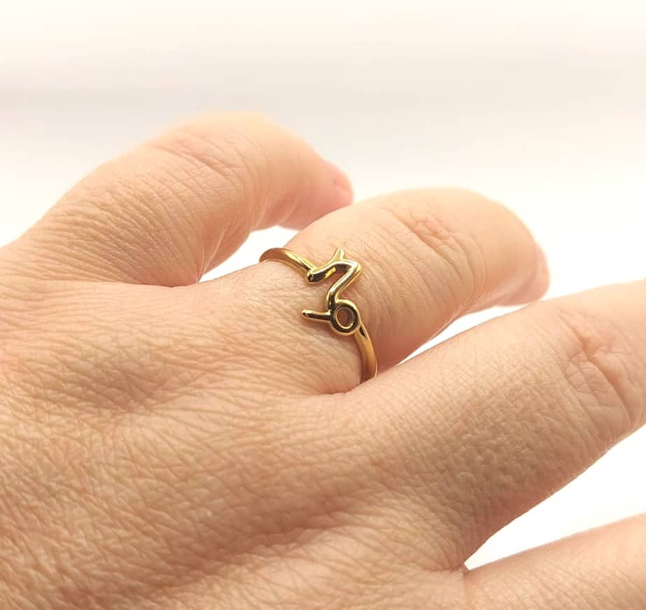 Anillo Zodiaco - Símbolo - CAPRICORNIO