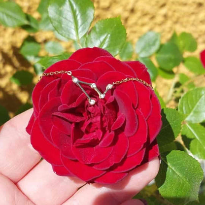 Collar Zodiaco - Constelación Dorado y Plateado - CAPRICORNIO