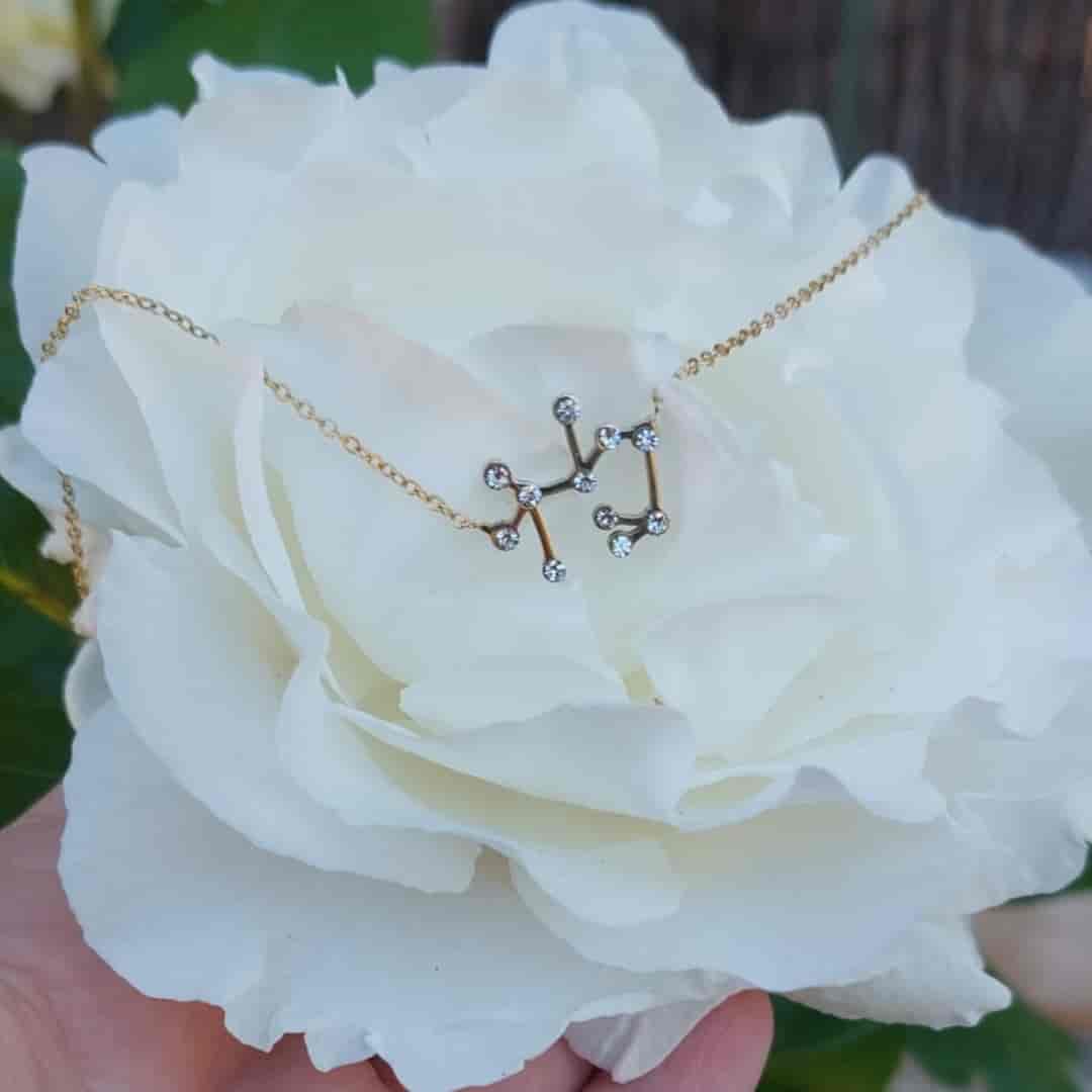 Collar Zodiaco - Constelación Dorado y Plateado